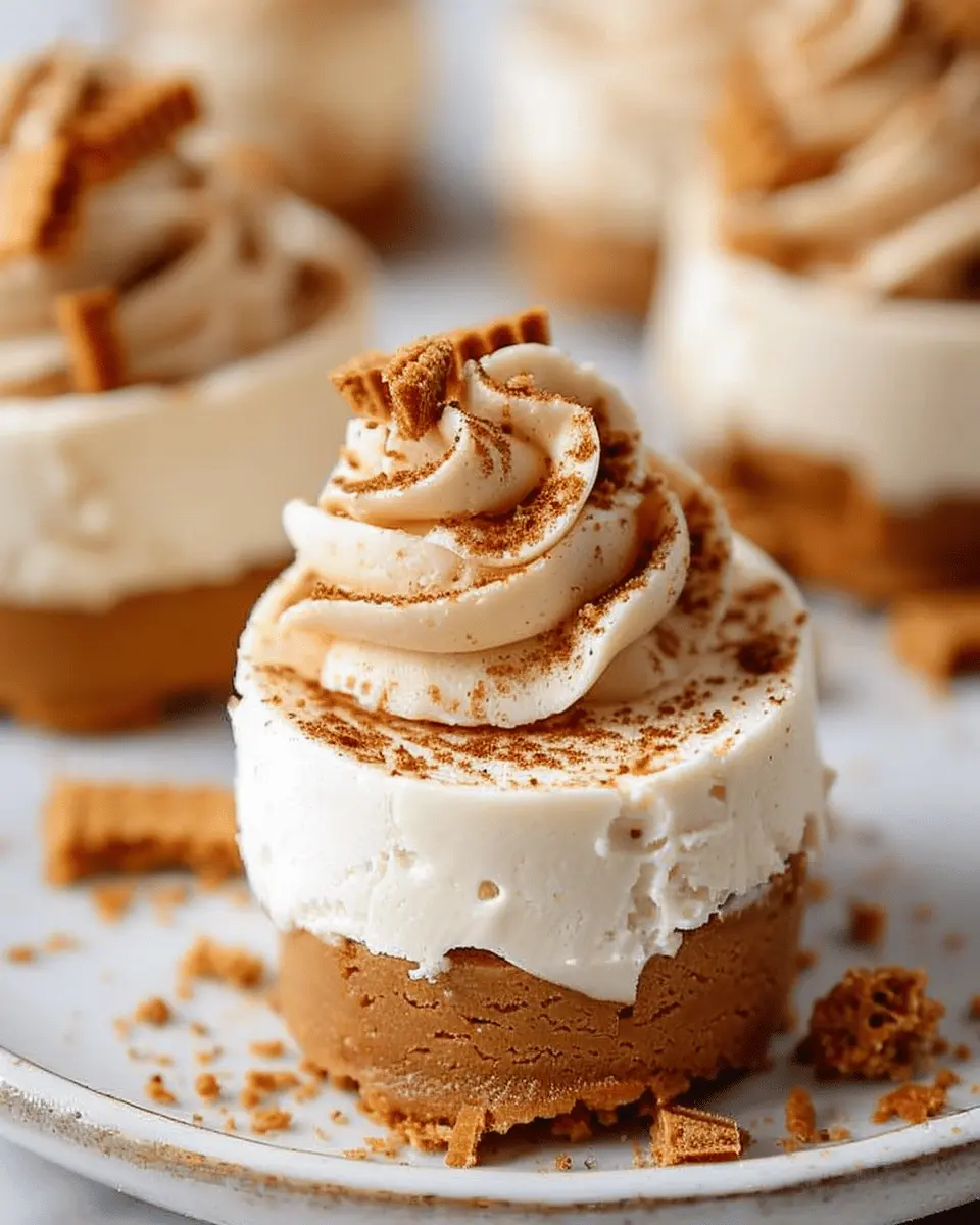No Bake Mini Biscoff Cheesecakes: Indulge in Easy Delights