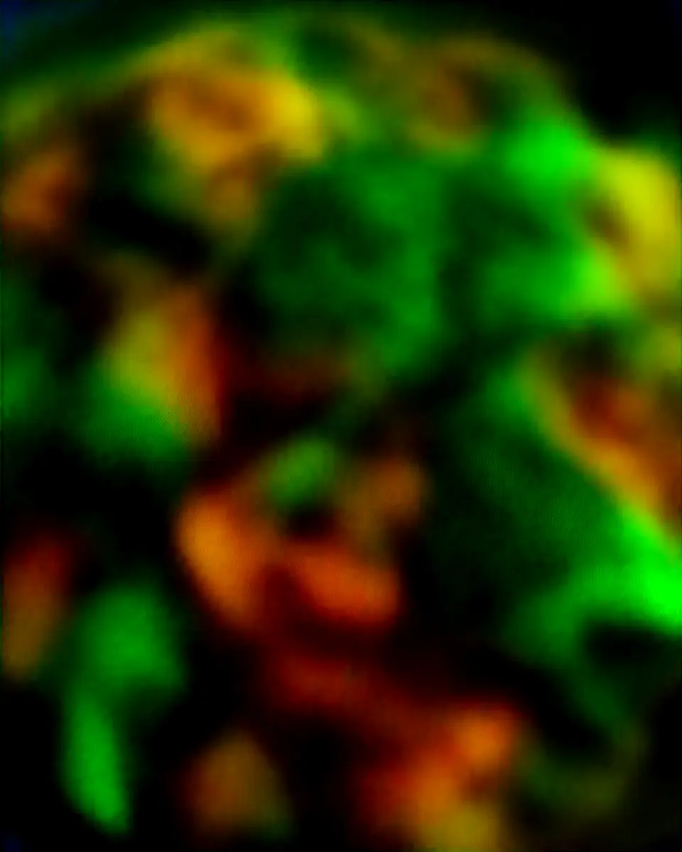 Broccoli and Mushroom Stir Fry: The Easy, Flavor-Packed Delight